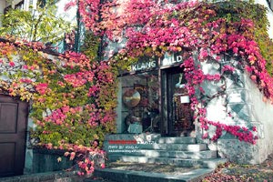 匈牙利国家队小组赛告捷，成功晋级欧锦赛下一轮