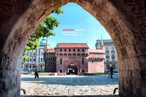 沃特福德客场难求一胜，实力被质疑