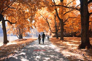 惊魂一刻！葡萄牙绝境逢生，力克土耳其，昂首挺进！