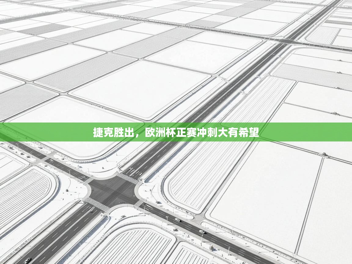 捷克胜出，欧洲杯正赛冲刺大有希望  第1张